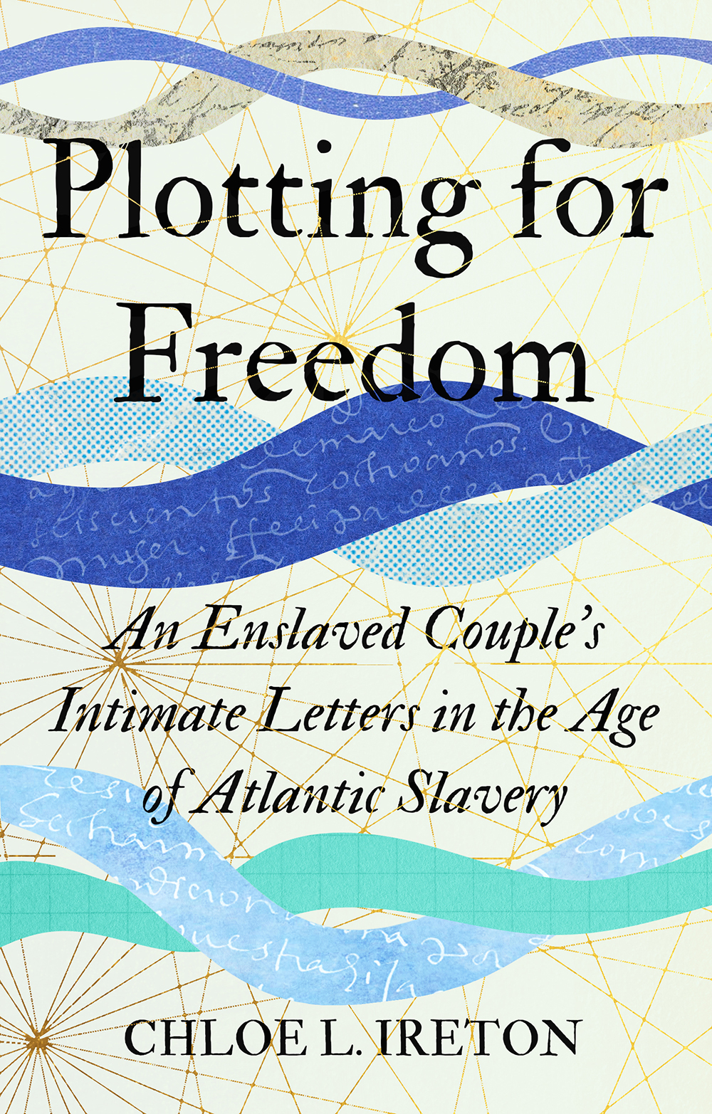 Book cover for 'Plotting for Freedom' that evokes flowing water and is a typographic design.
